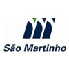 sao-martinho pneus 